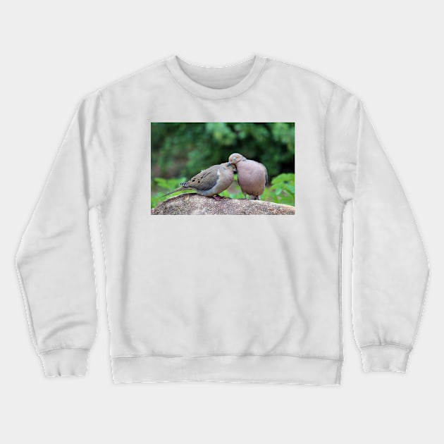 Two Turtle Doves Crewneck Sweatshirt by Cynthia48